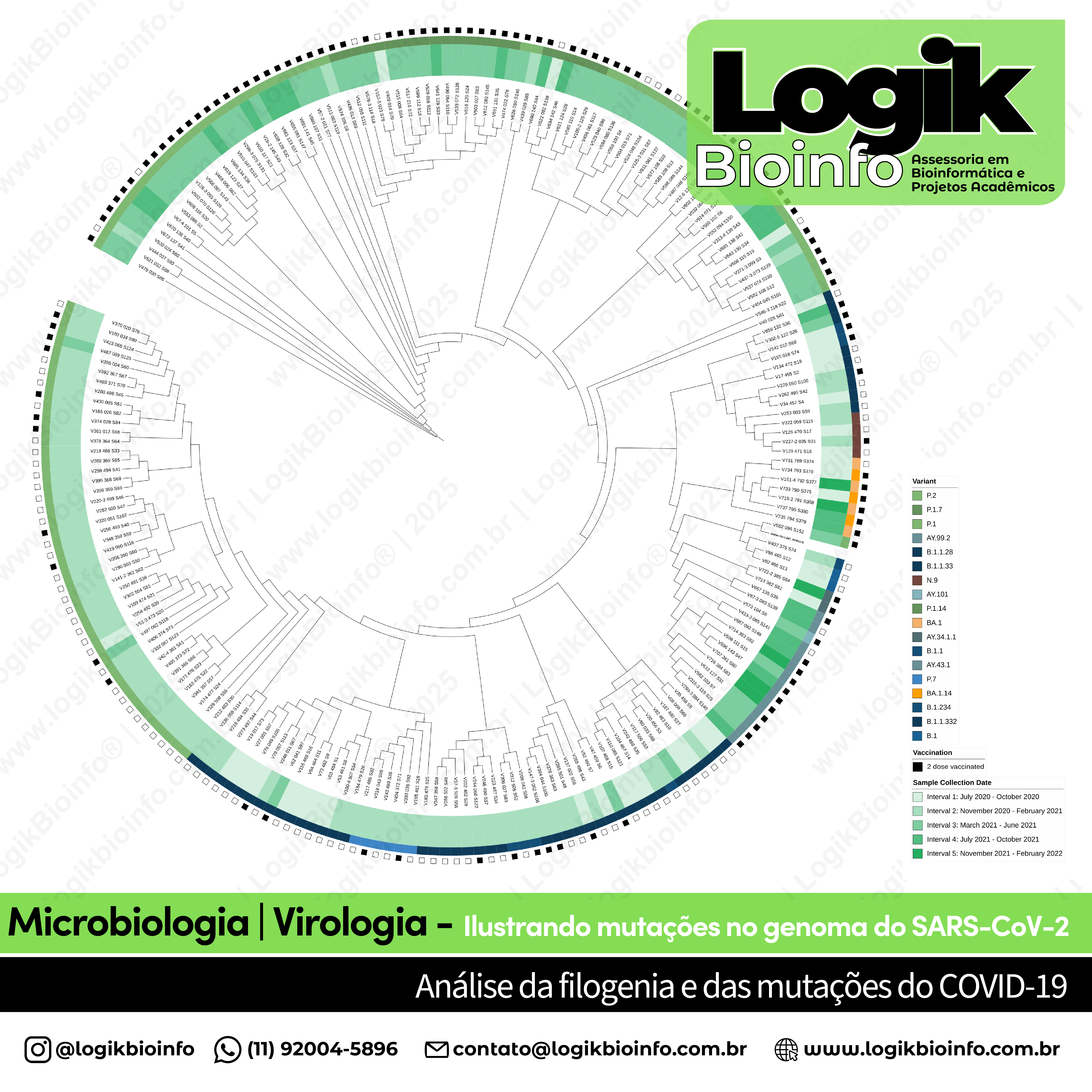 Análise da filogenia e das mutações do COVID-19