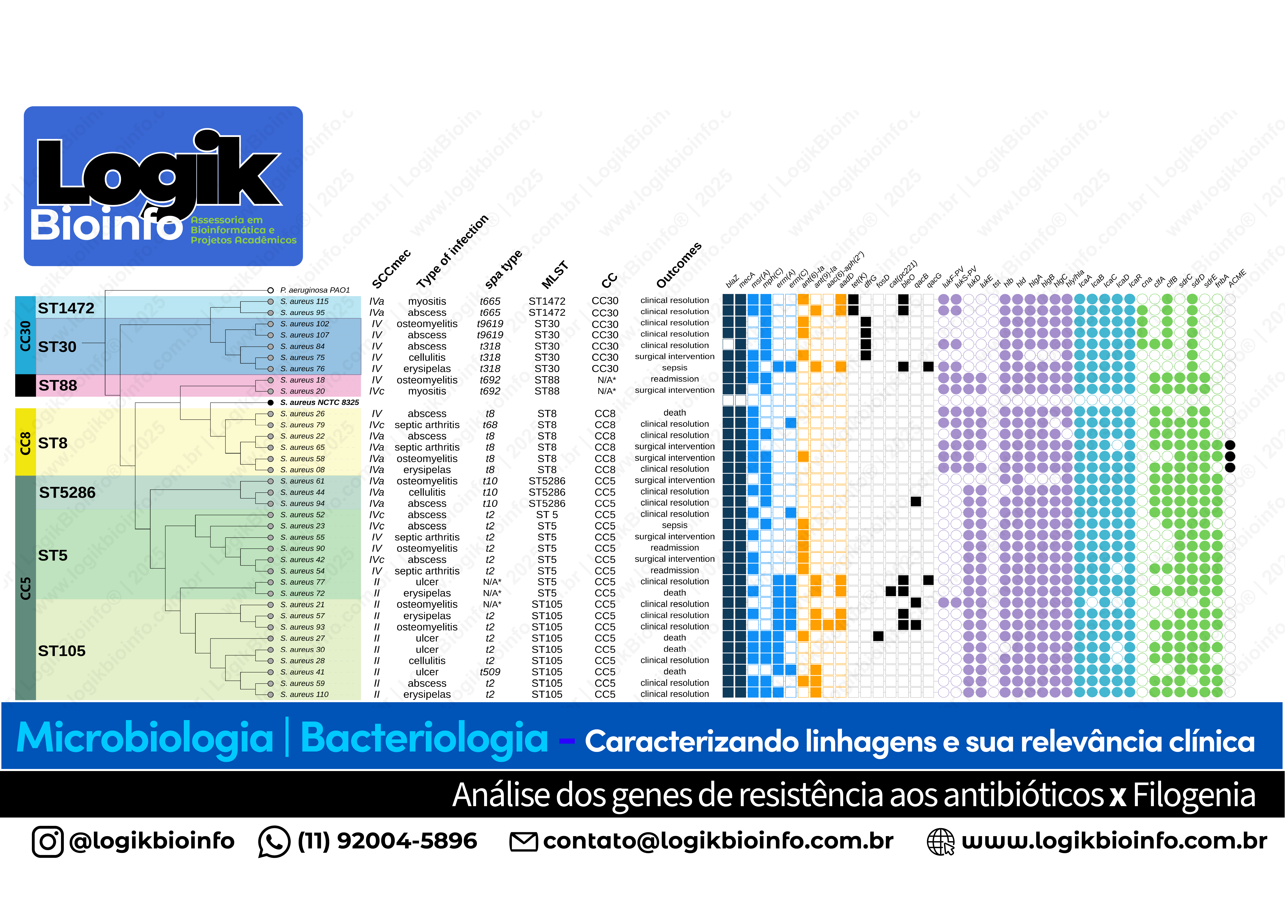 Caracterização de linhagens e relevância clínica