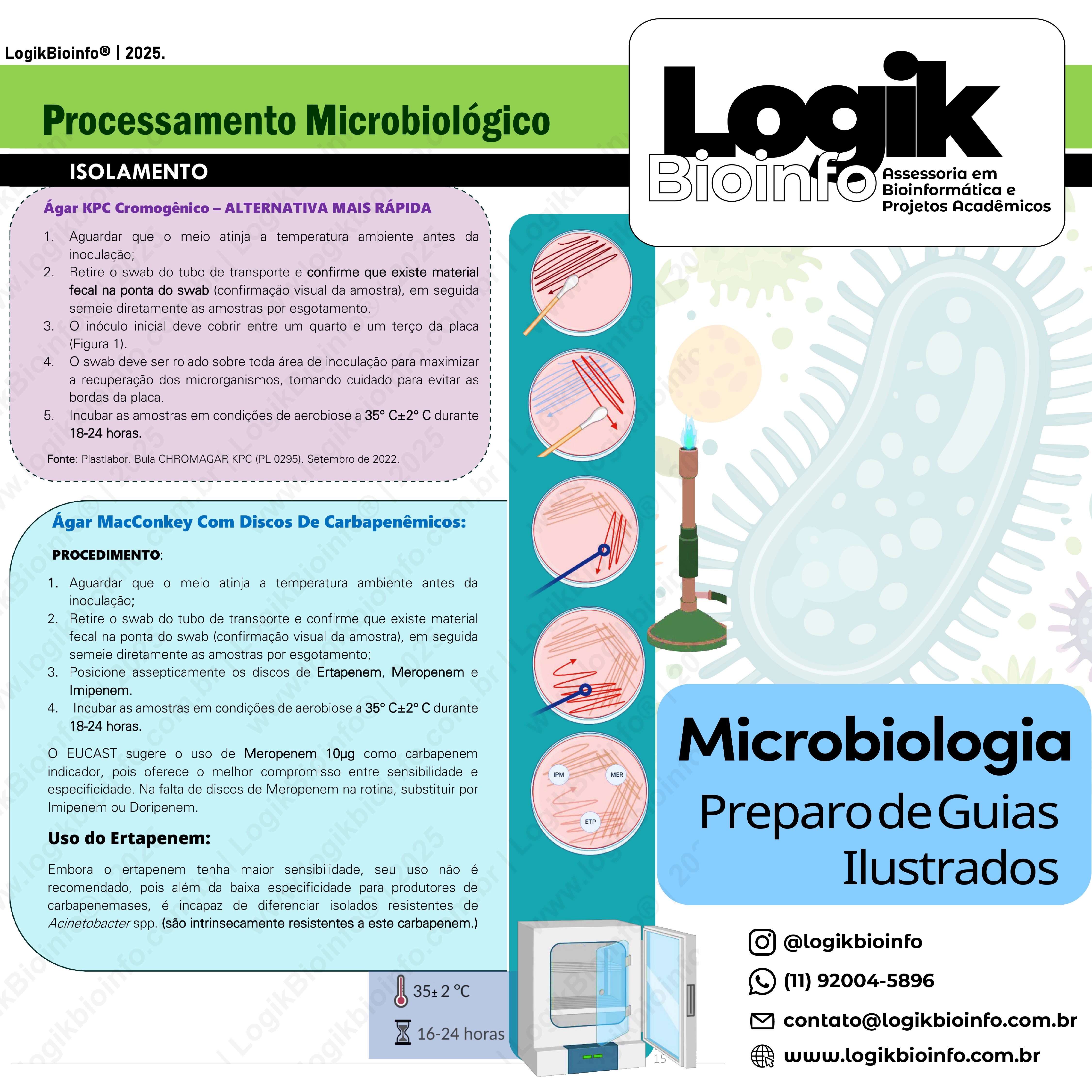 Guias ilustrados de processamento microbiológico