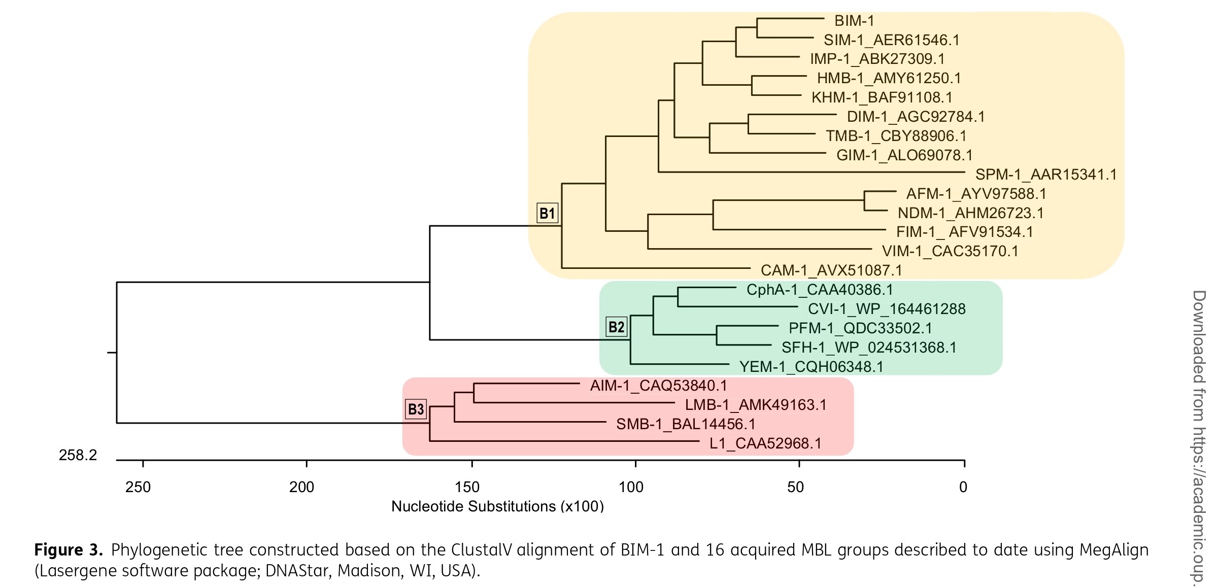 BIM-1 study figure