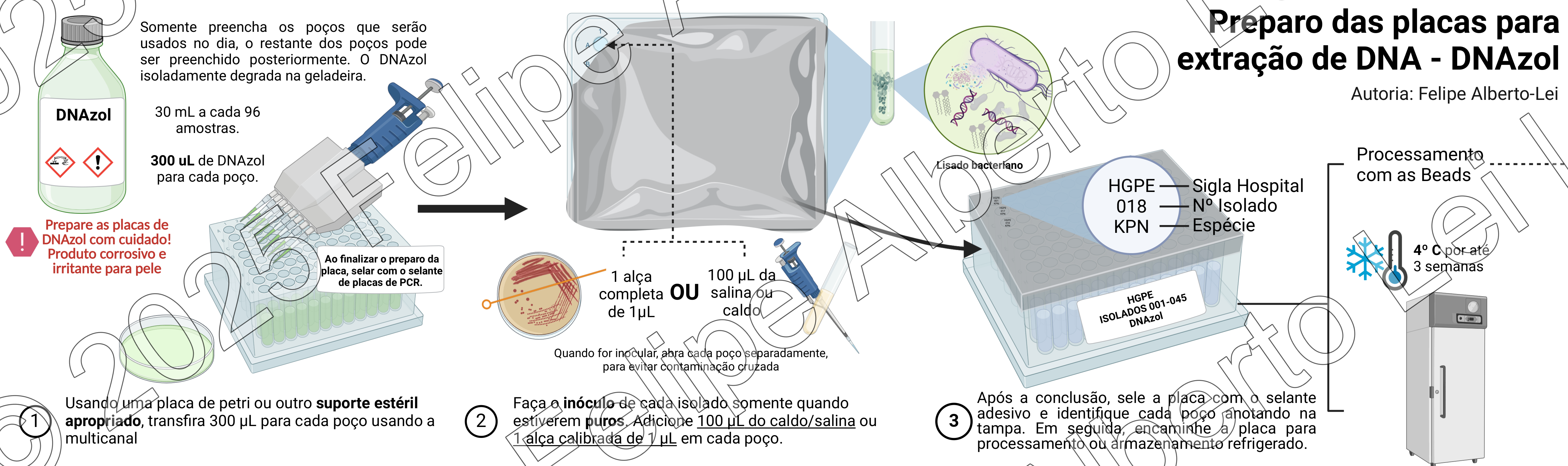 Protocolo de Extração de DNA: Preparação de Amostras