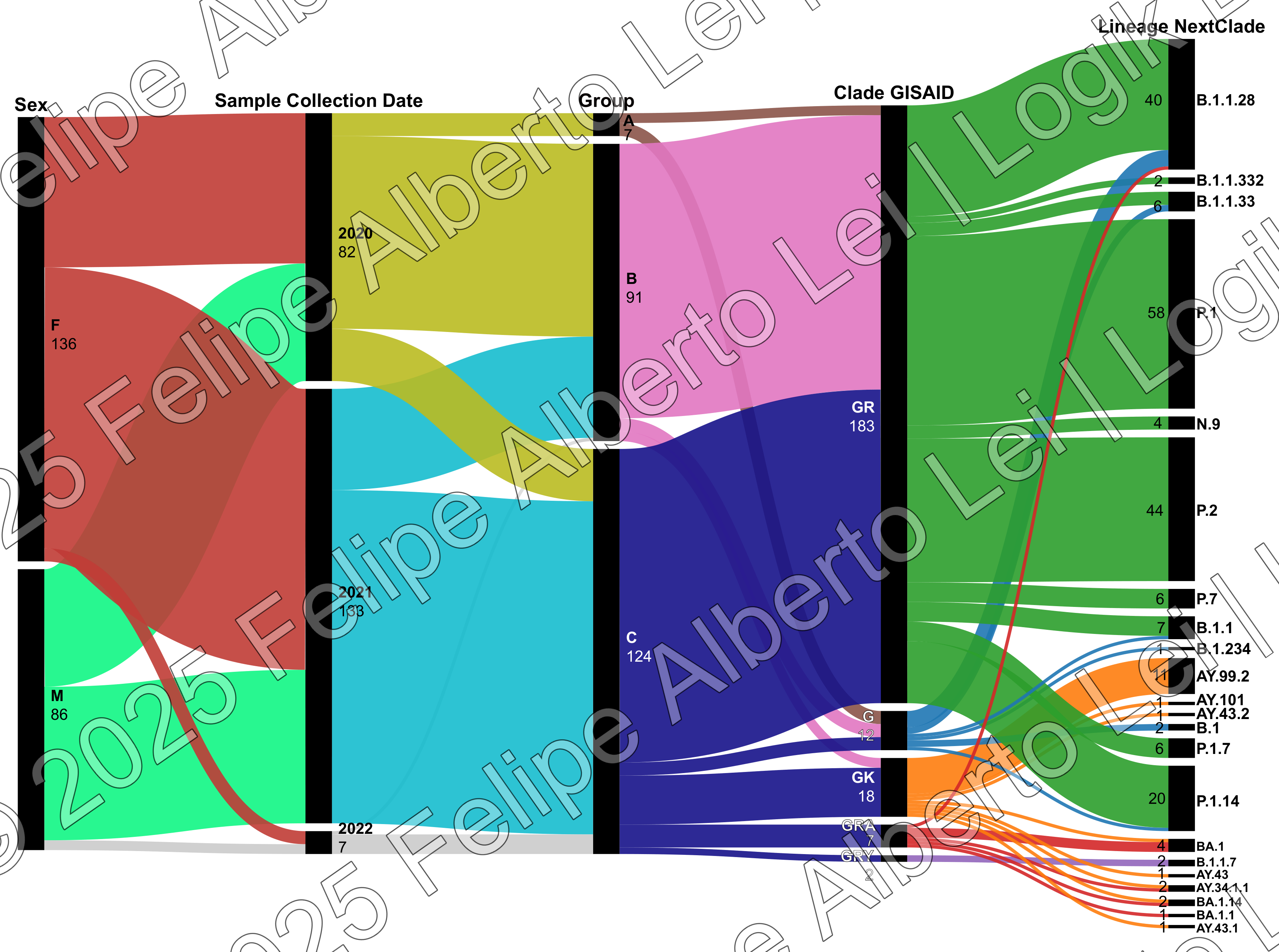 Análise de Distribuição Epidemiológica