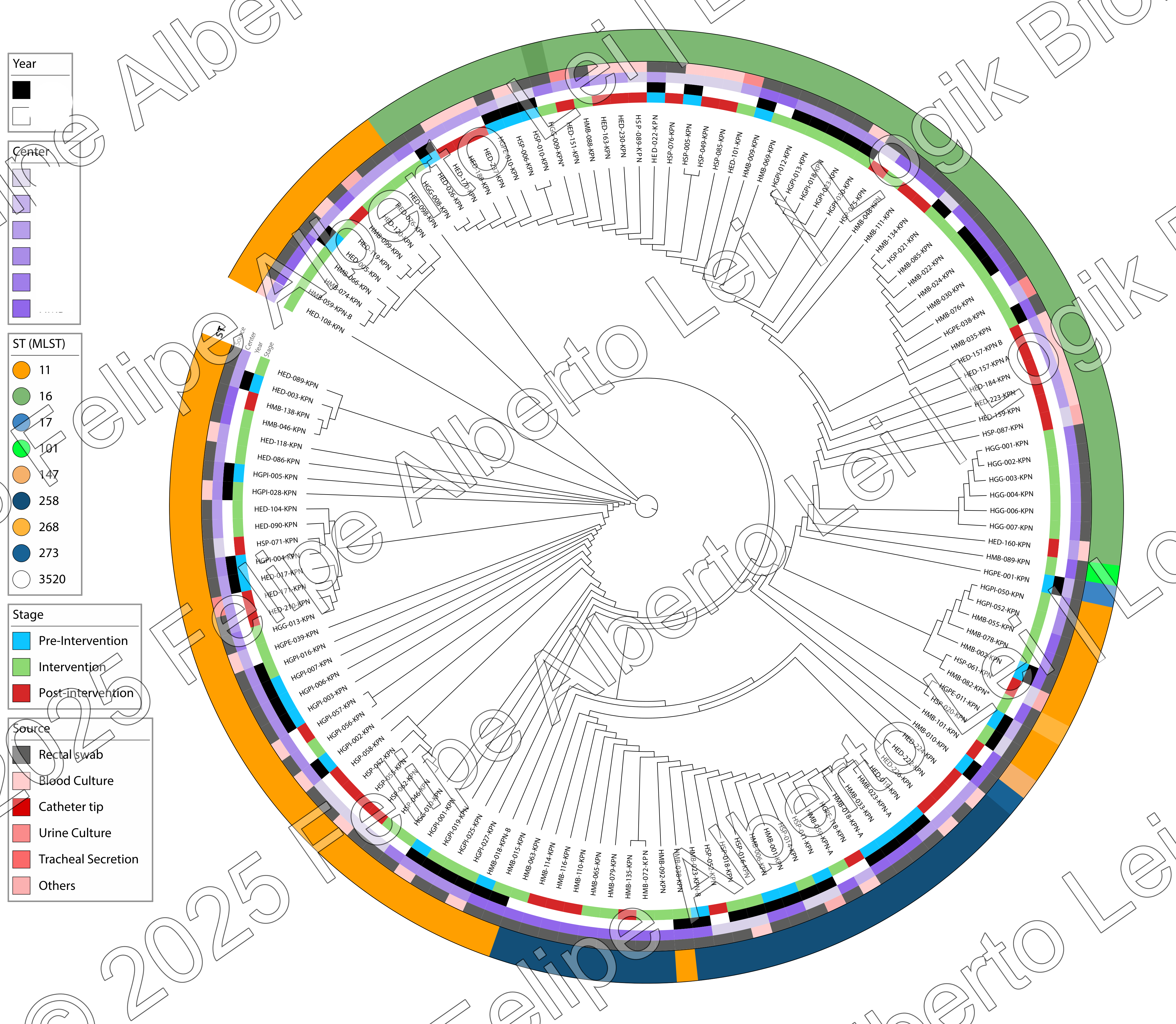 Contexto Genômico: Marcadores de Resistência e Virulência