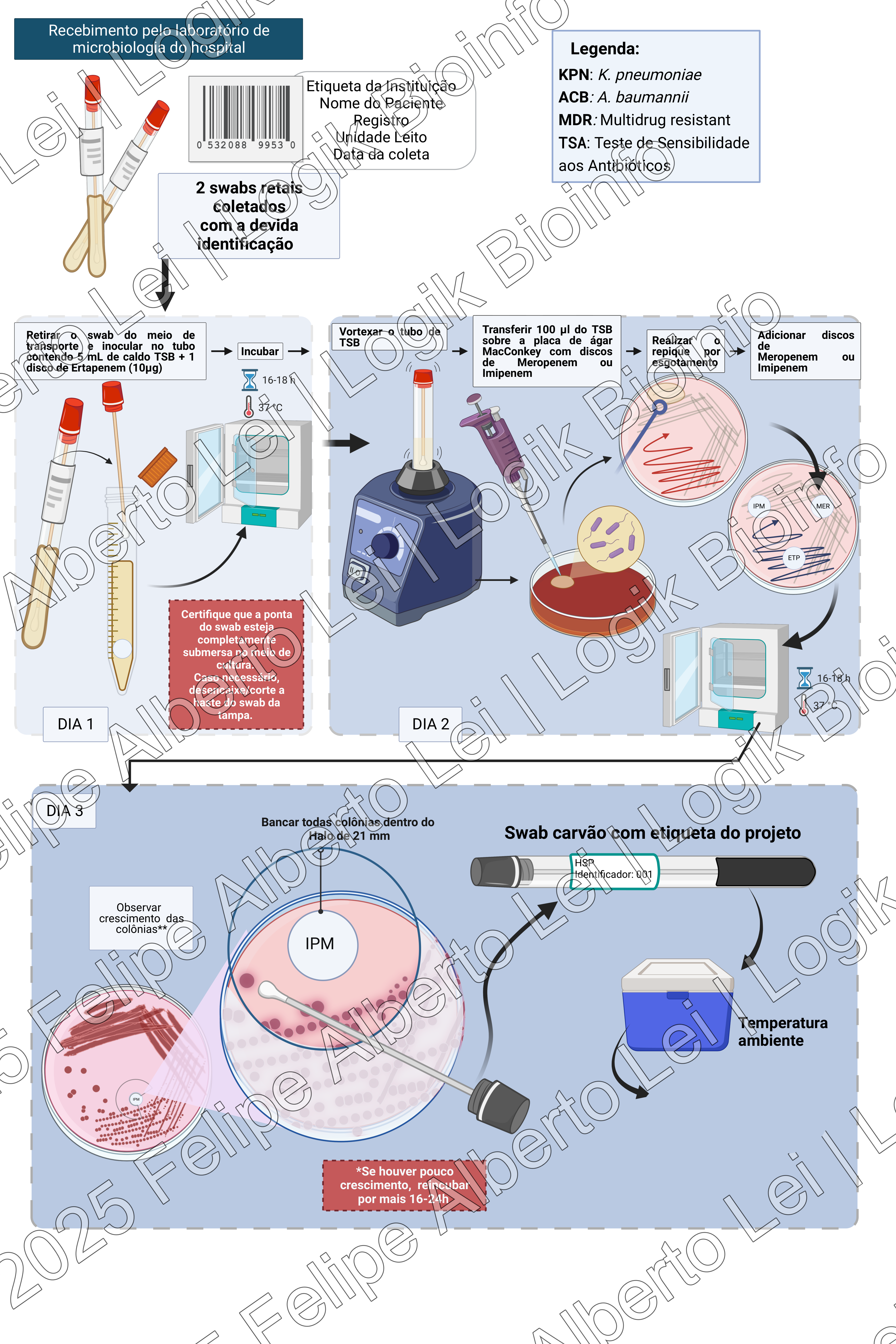 Microbiological Workflow